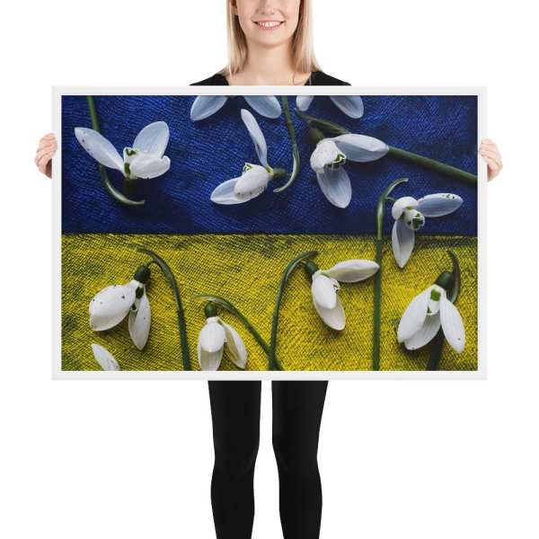 Framed poster «Snowdrops of Freedom. Ukraine» by Darya Nakvakina