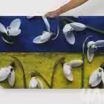 Canvas «Snowdrops of Freedom. Ukraine» by Darya Nakvakina